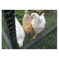 High Quality Rolls Chicken Wire Netting